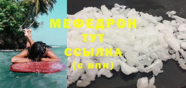 прущие грибы Абаза