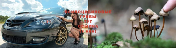 mdpv Протвино