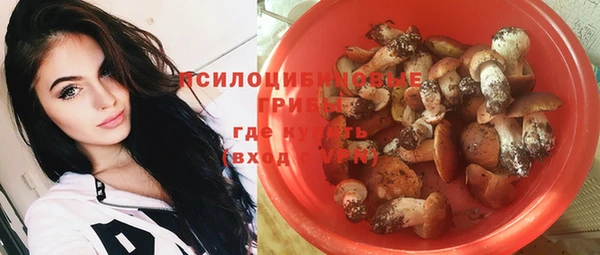 прущие грибы Абаза