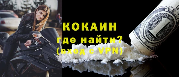 прущие грибы Абаза